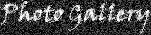 gallery.jpg (61418 bytes)